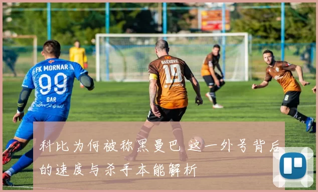 科比为何被称黑曼巴 这一外号背后的速度与杀手本能解析
