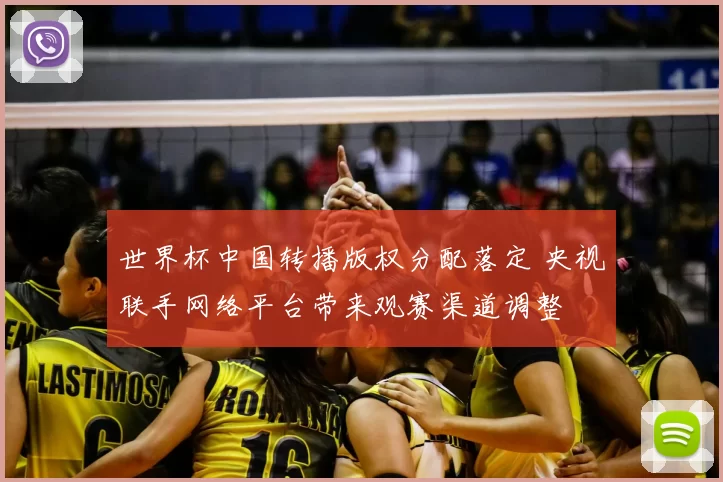 世界杯中国转播版权分配落定 央视联手网络平台带来观赛渠道调整